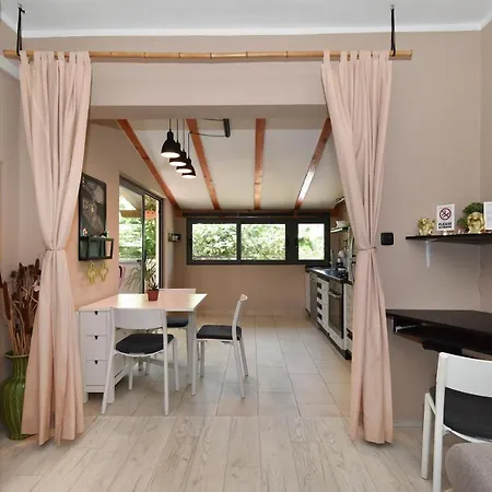 Little Monkey * Zadar