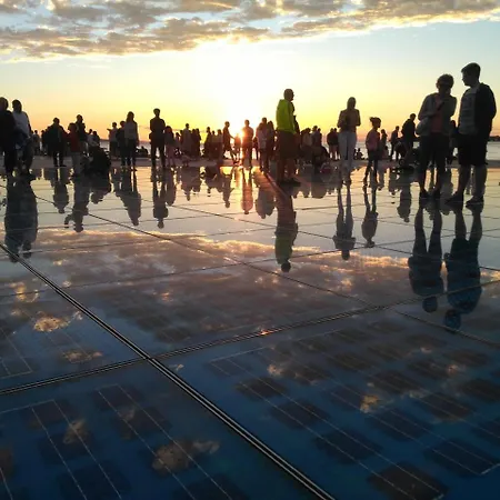 Little Monkey * Zadar