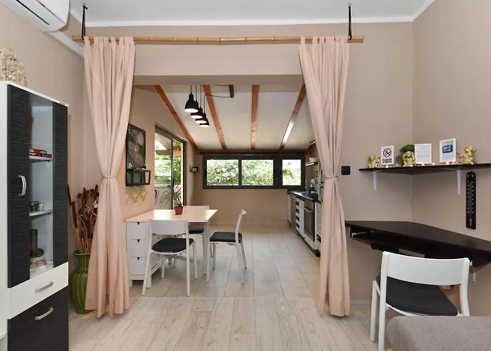 Little Monkey * Zadar