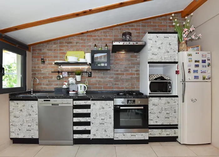 Little Monkey * Zadar