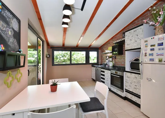 Little Monkey * Zadar