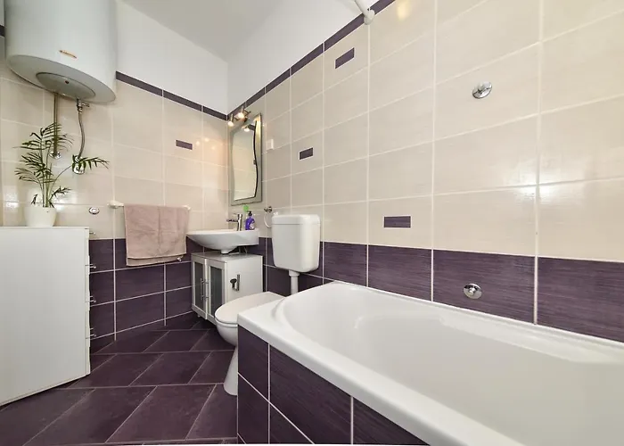 Little Monkey * Zadar