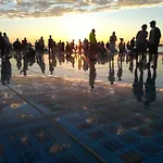 Little Monkey * Zadar