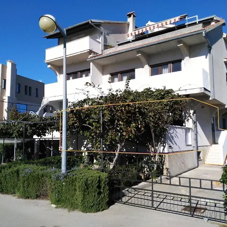 Little Monkey * Zadar