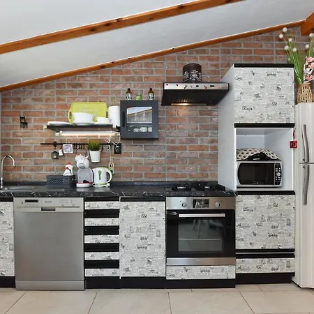 Little Monkey * Zadar