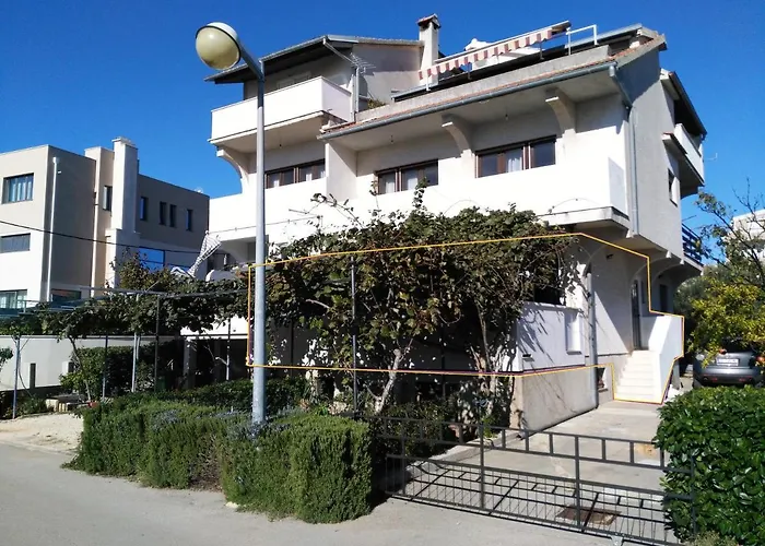 Little Monkey * Zadar