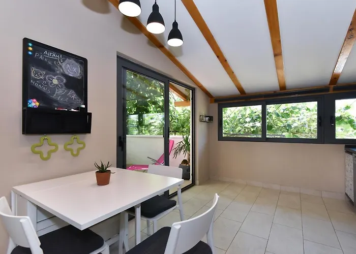 Little Monkey * Zadar