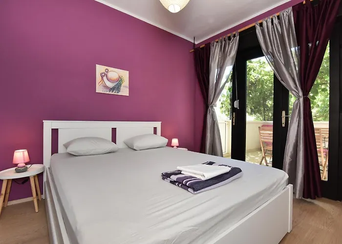 Little Monkey * Zadar