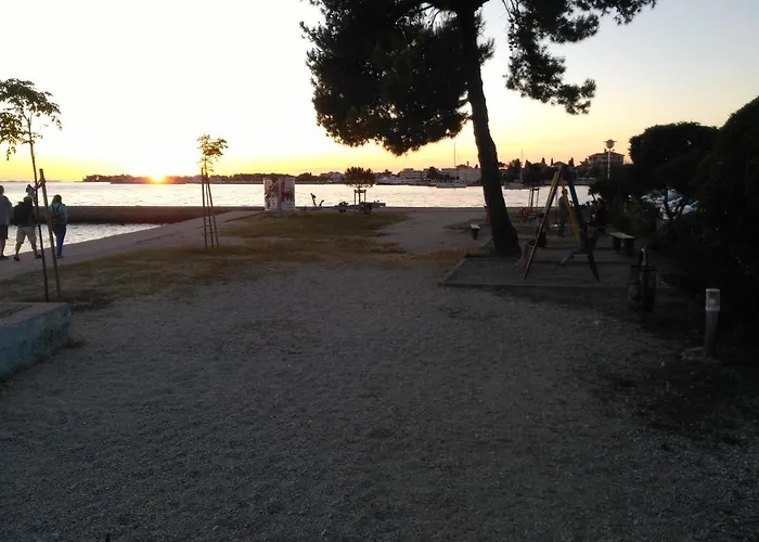 Daire Little Monkey *