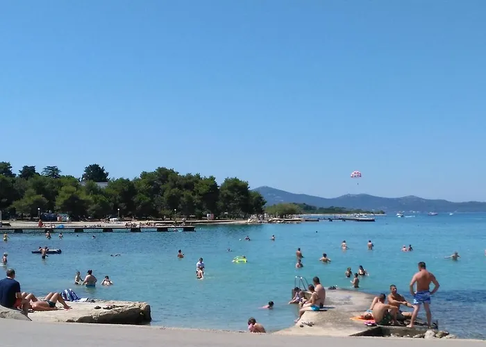 Daire Little Monkey *