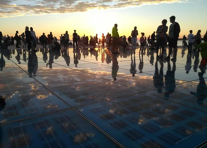 Little Monkey * Zadar